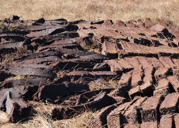 drying peat